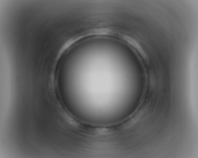 X0000113911176200910011443