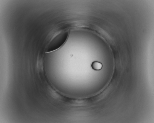 X0000113911177200910011443