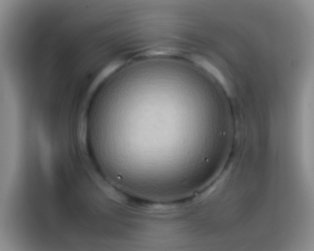 X0000113911179200910011443