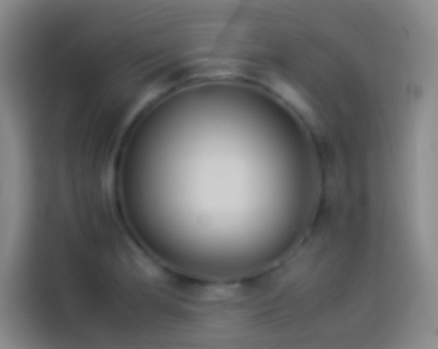 X0000113911181200910011443