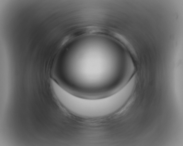 X0000113911185200910011443