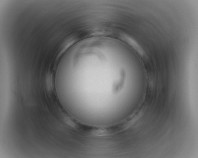 X0000113911186200910011443