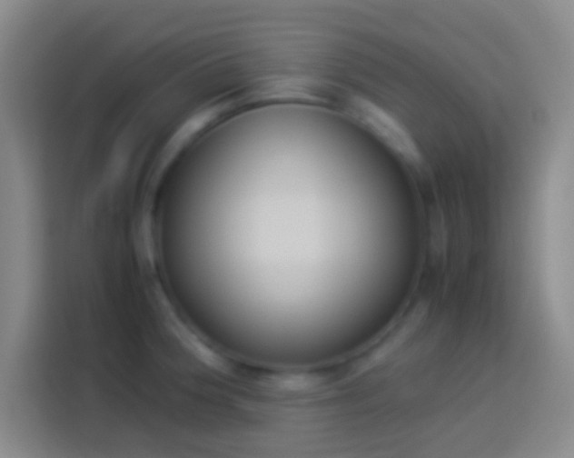 X0000113911188200910011443