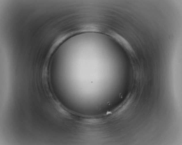 X0000113911192200910011442