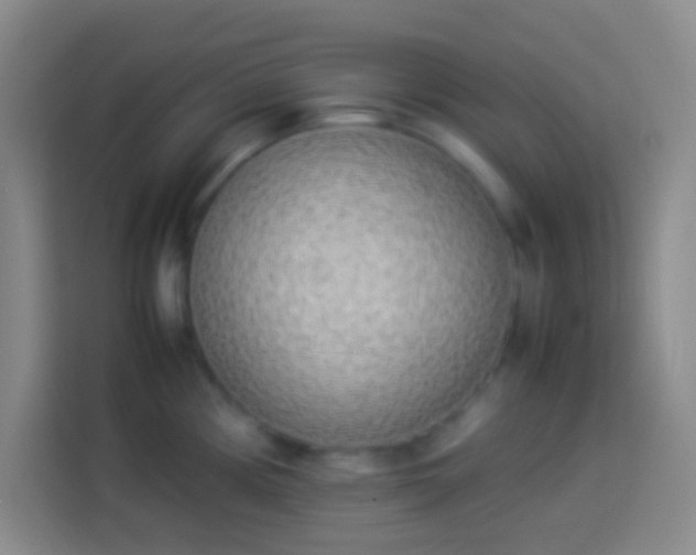 X0000113911194200910011442