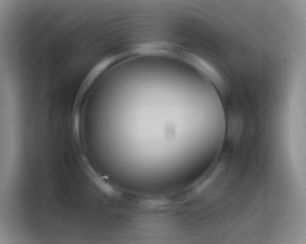 X0000113911196200910011442