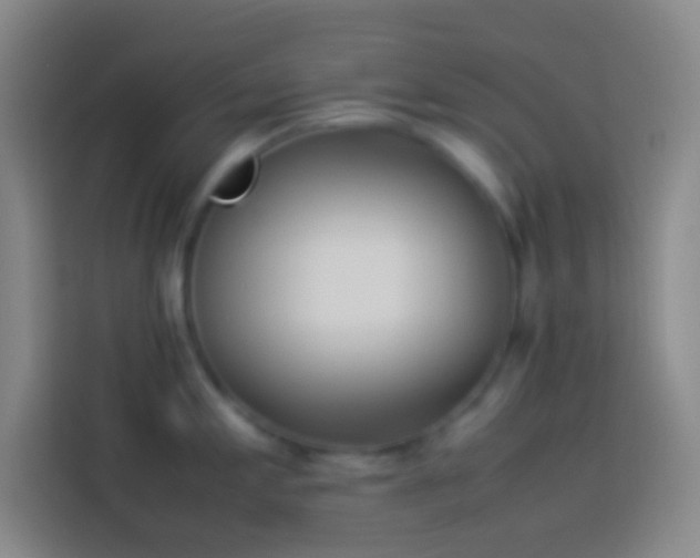 X0000113911197200910011442