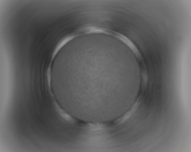 X0000113911198200910011442