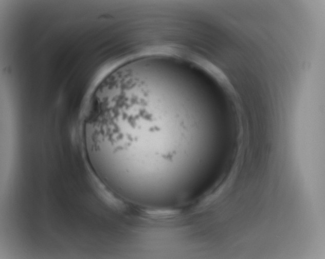 X0000113911200200910011442