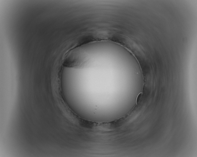 X0000113911201200910011442