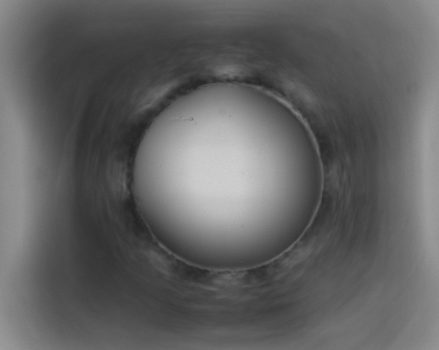 X0000113911205200910011442