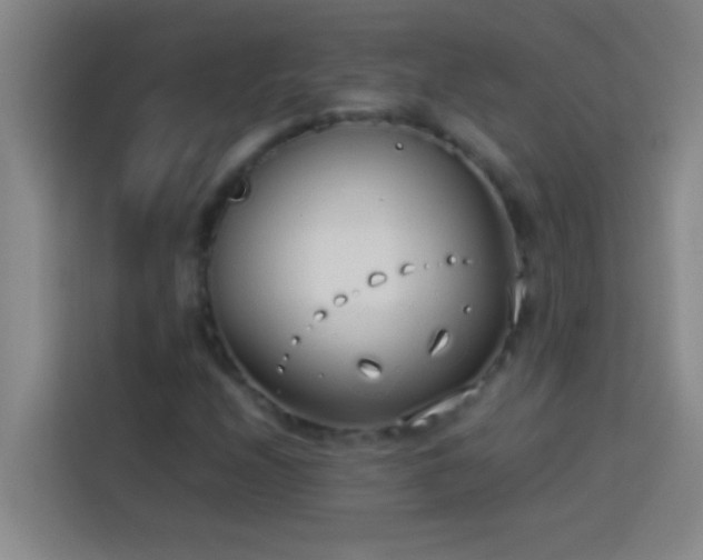 X0000113911208200910011442