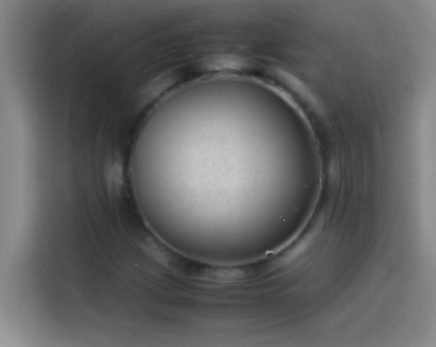 X0000113911209200910011442