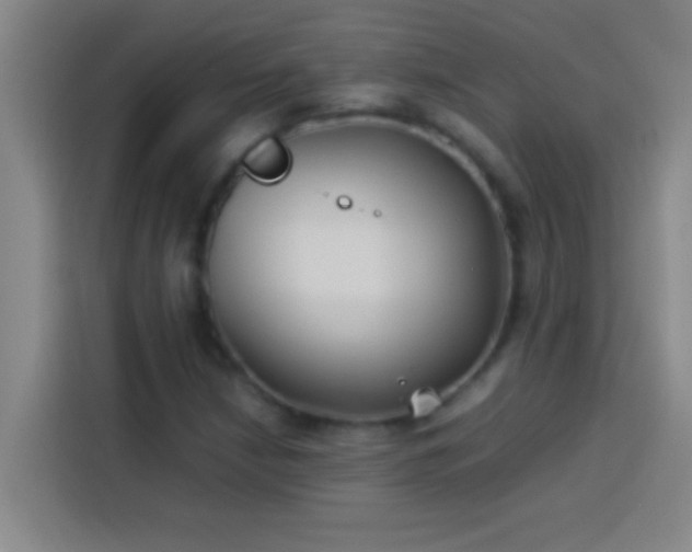 X0000113911210200910011442