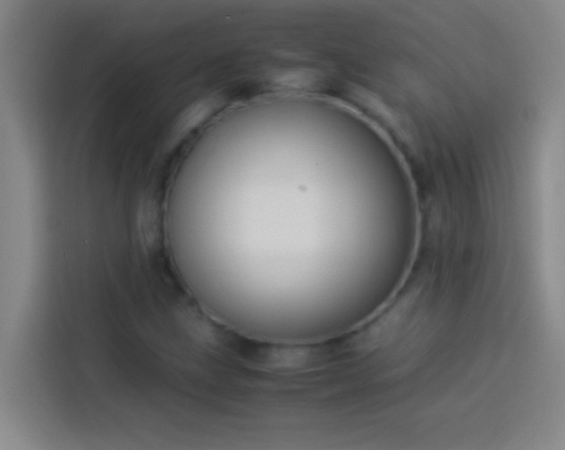 X0000113911211200910011442