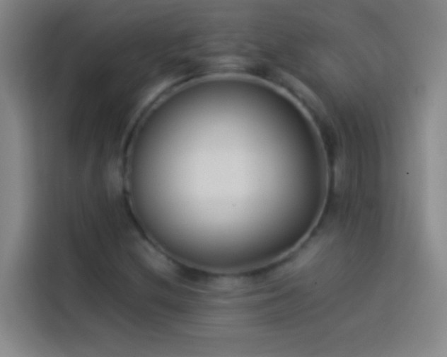 X0000113911212200910011442