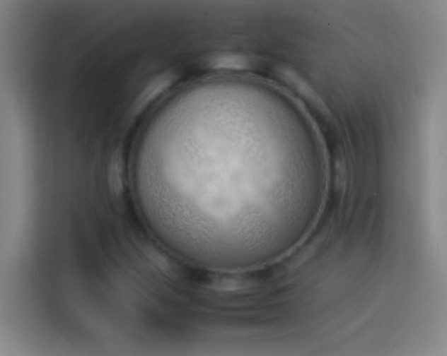 X0000113911213200910011442