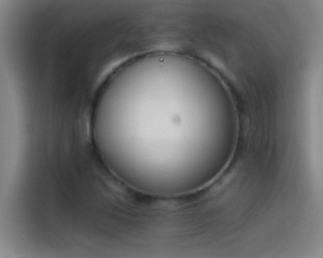 X0000113911214200910011442