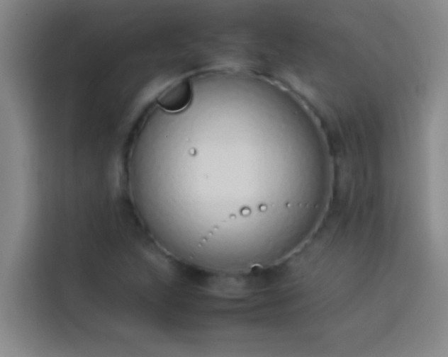 X0000113911215200910011442