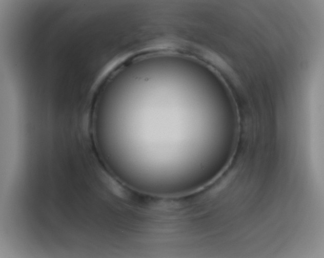 X0000113911216200910011442