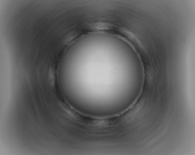 X0000113911217200910011442