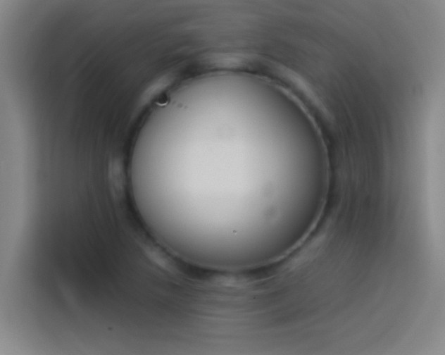 X0000113911218200910011442