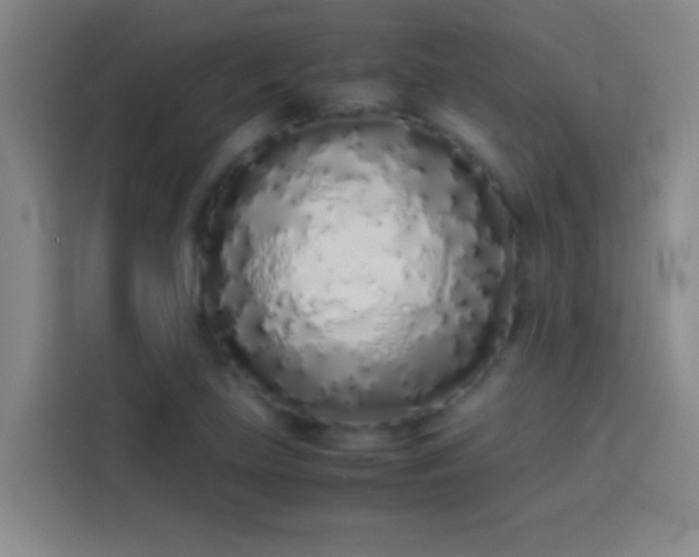 X0000113911219200910011442