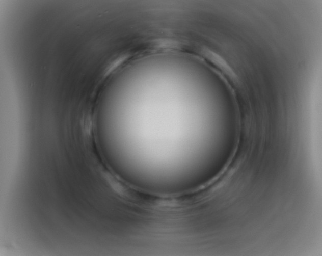 X0000113911220200910011442