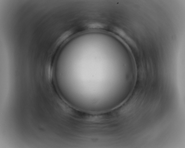 X0000113911221200910011442