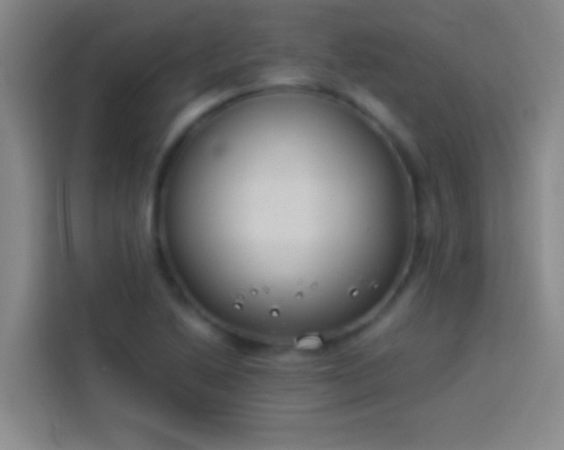 X0000113911222200910011442