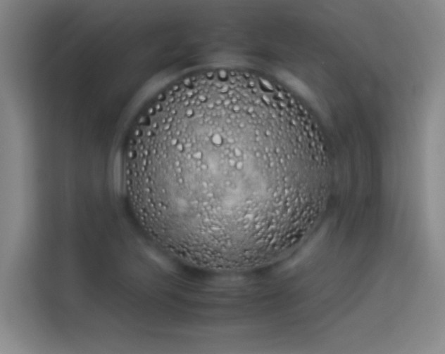 X0000113911223200910011442