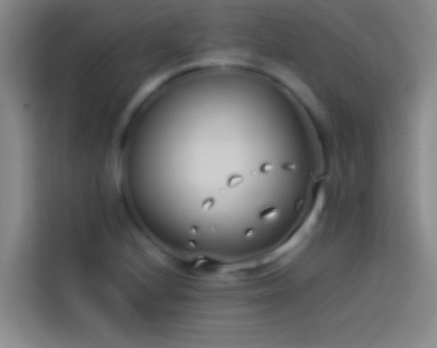 X0000113911224200910011442