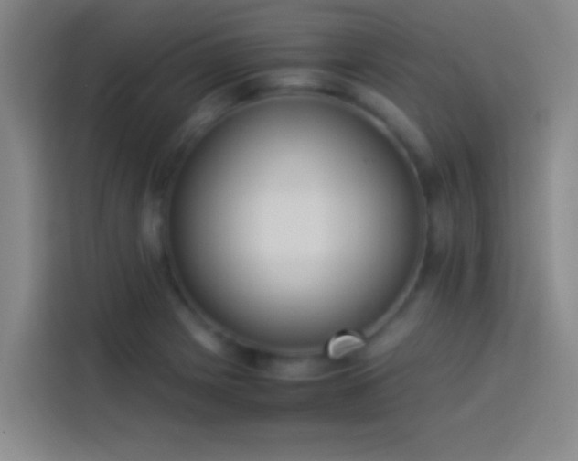 X0000113911225200910011442