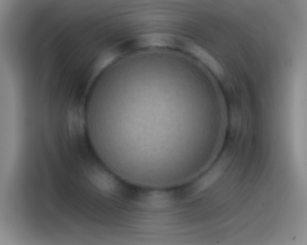 X0000113911226200910011442