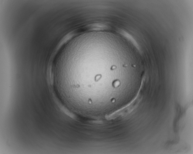 X0000113911227200910011442