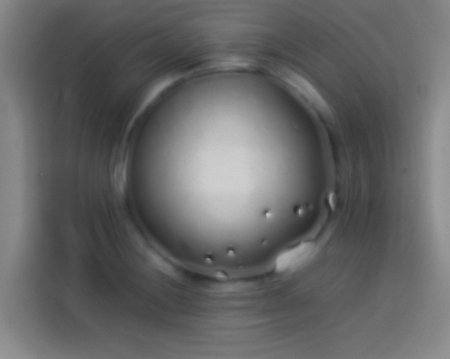 X0000113911228200910011442