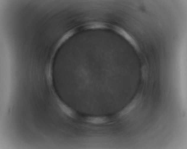 X0000113911229200910011442