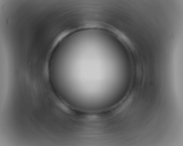 X0000113911230200910011442