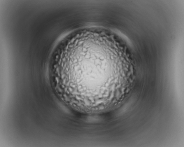 X0000113911231200910011442