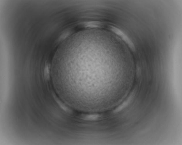 X0000113911233200910011442