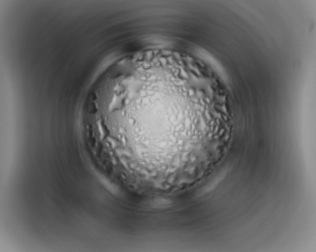 X0000113911235200910011442