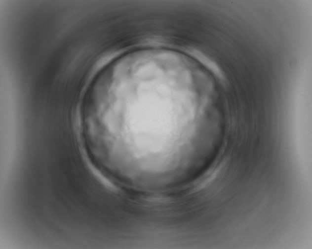 X0000113911239200910011442