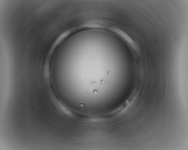 X0000113911240200910011442