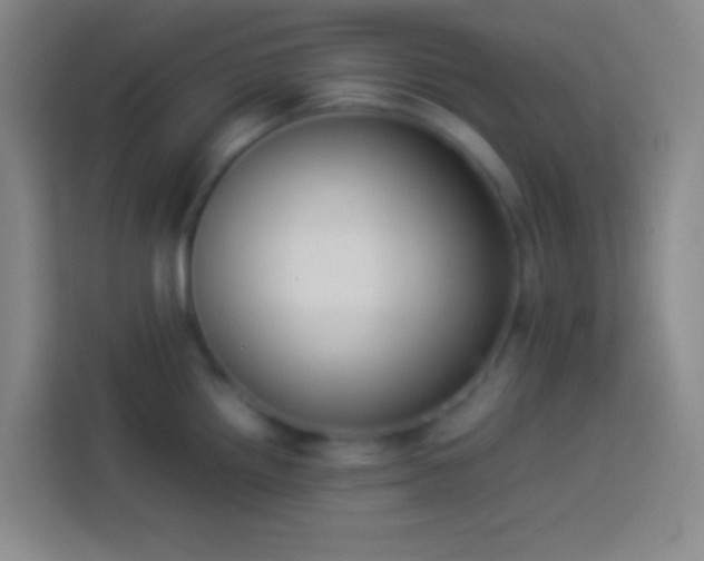 X0000113911242200910011442