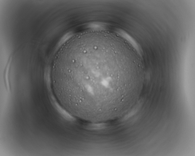 X0000113911243200910011442