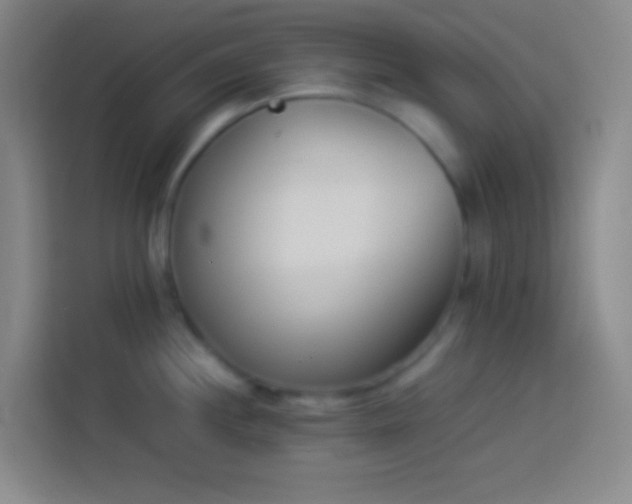 X0000113911244200910011442