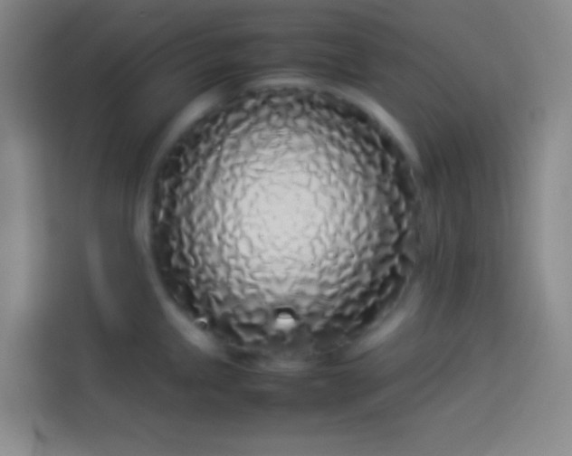 X0000113911245200910011442