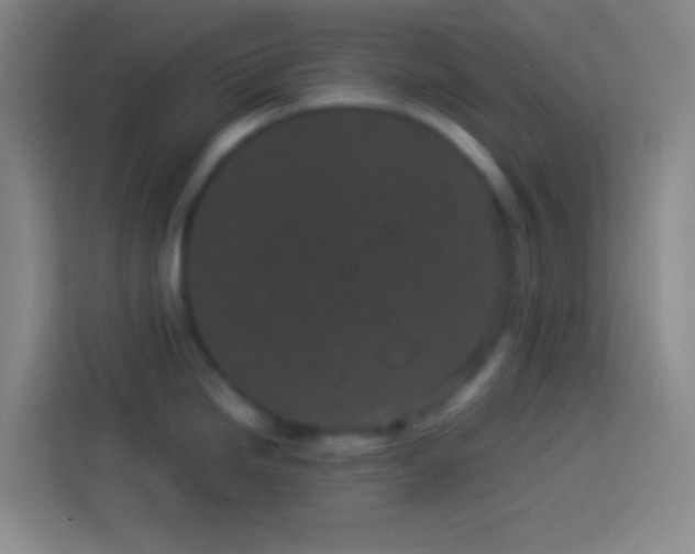 X0000113911246200910011442