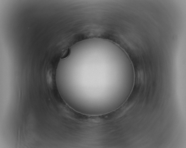 X0000113911250200910011442