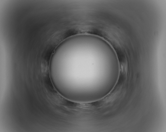 X0000113911251200910011442